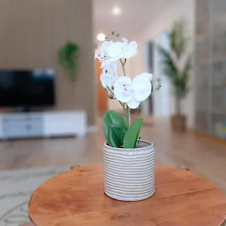 Appartement Seaside *